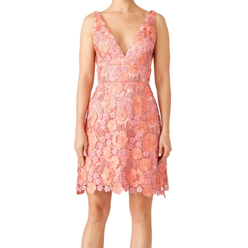Theia Floral Lace Dress